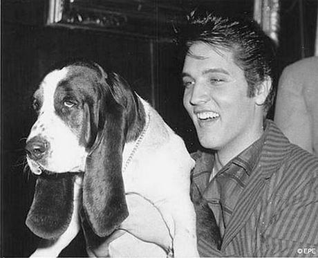 Elvis Presley et les chiens