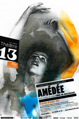 critique amédée théâtre 13