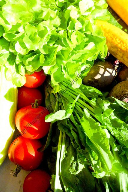 Panier semaine 36 / Basket Week 36