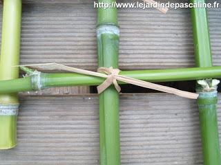 Tuteur en bambou