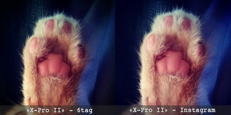 Paw-comparatif