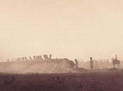 Vente enchères Gray Brancusi