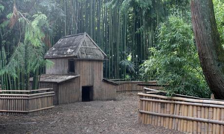 La maison des cochons de la bambouseraie d'Anduze
