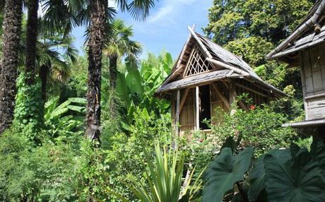 maison-laotienne-bambou