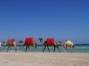 Visiter Djerba avec petits (épisode