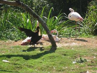 Versatile blogger award