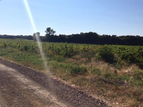 Rayon de soleil de fin d'été