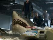 [critique] Bait requin connaît rayon