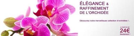 floriflora image orchidee opt1 550x151 #interview #ecommerce Faire plaisir avec FoliFlora
