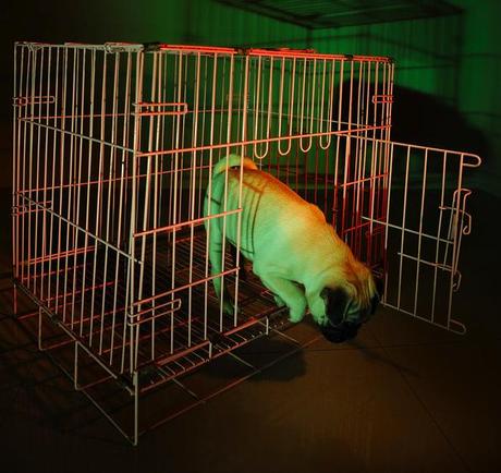 Le jailbreak iPhone iOS 7 ne se fera pas attendre...