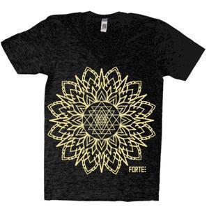 STOTW #16 f639d1_ffa7e94b6fb2dd9d4d4423d65440b5cd.jpg_srz_300_300_75_22_0.50_1.20_0