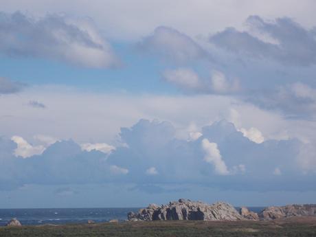 des mots et des nuages