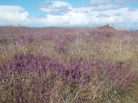 des mots et des nuages