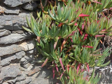 des mots et des nuages