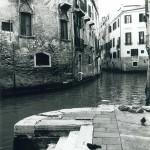 1993 : Venise sauvage et secrète