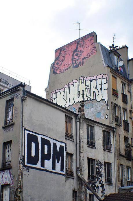 Neeno (OK6/DPM) DPM Ikon Horfé Chiot