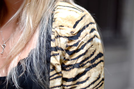 Tiger Baby ! Tiger Baby !