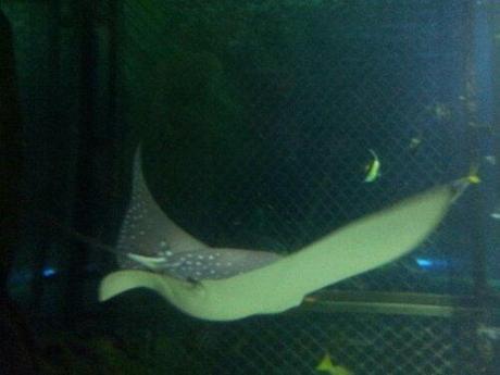 20130901_190906.jpg image