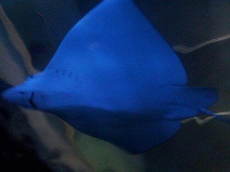 20130901_190138.jpg image