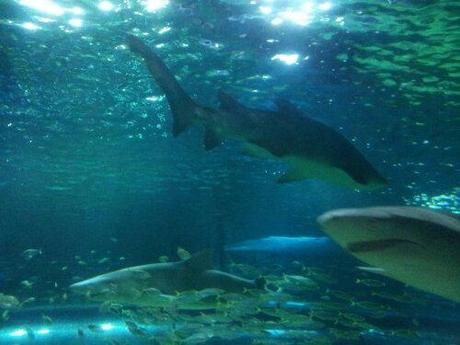 20130901_192902.jpg image