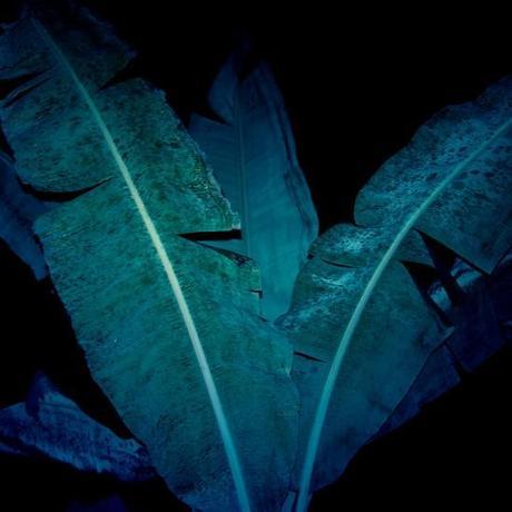 vetement-homme-polo-t-shirt-funny-shirt-fashionista-denim-jean