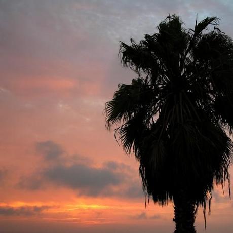 vetements-marque-magasin-vetement-shop-mode-vetements-pas-cher-fashionista