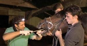 OFF secrets et coulisses au zoo