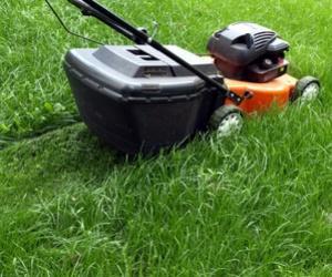 Jardinage : les Bretons s'échangent des tondeuses ! Jardinage : les Bretons s'échangent des tondeuses !