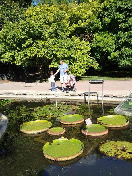 Week In A Life By Laureva: Monday.