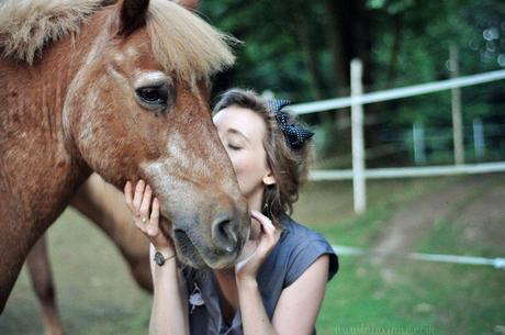 Amour de poneys