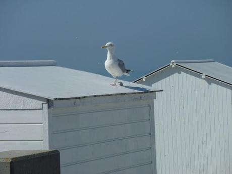 Images spéciales du 11 septembre...