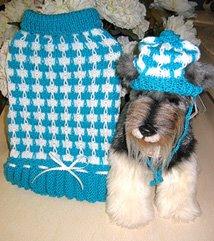tricot pour chien