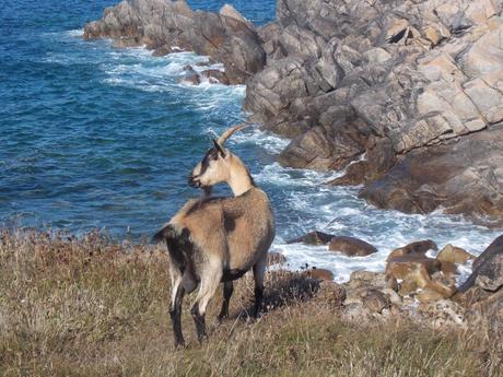 la chambre de veille