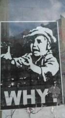 why.jpg