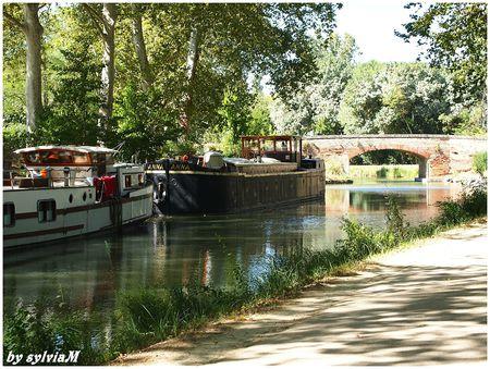 canal du midi et pont de mangepomme
