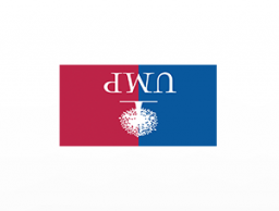 Pourquoi l'UMP sombre encore