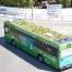 Insolite : Bientôt des bus à toiture végétale à New York ?