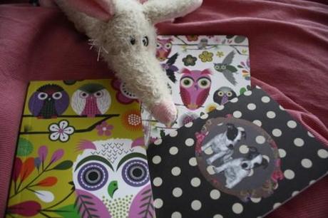 Carnet de voyage #6 : Nouveaux carnets Maman ok