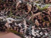 Nouveautés chapeaux mitaines lainage