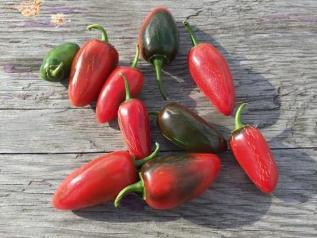 6 Photos prises avec un iPhone 5S...