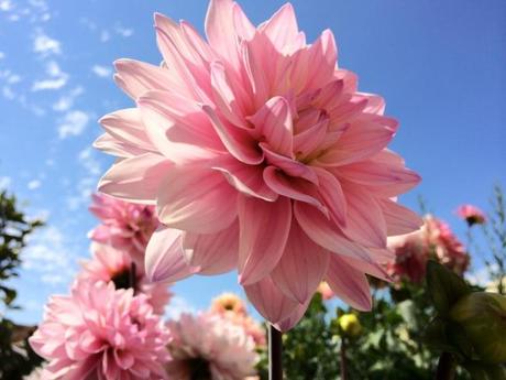 6 Photos prises avec un iPhone 5S...