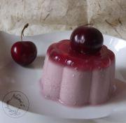 lait fermenté jus cerises stevia agar  (2)