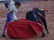 Salamanque oreille pour fandino fortes