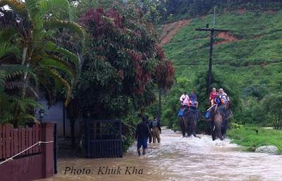 Thaïlande inondations: Les éléphants au secours des touristes