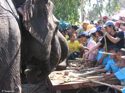 Thaïlande inondations: Les éléphants au secours des touristes