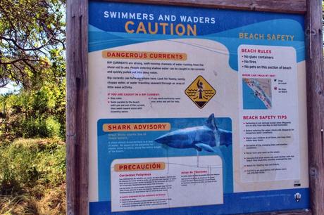 marin county sharks.JPG 1024x682 Road trip USA IX : Marin County