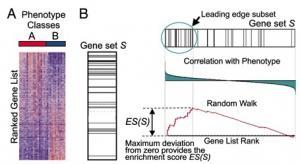 CANCER de la PROSTATE: Vers de nouveaux tests de détection et de diagnostic – Science Translational Medicine CANCER de la PROSTATE: Vers de nouveaux tests de détection et de diagnostic – Science Translational Medicine