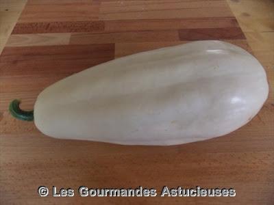 Une nouvelle variété de courge, la Mysterius