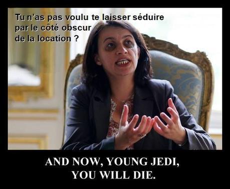 duflot et le côté obscur de la location