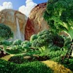 Brocolli Forest 150x150 “Foodscapes”   Les paysages en nourriture   Les GoÃ»teurs 